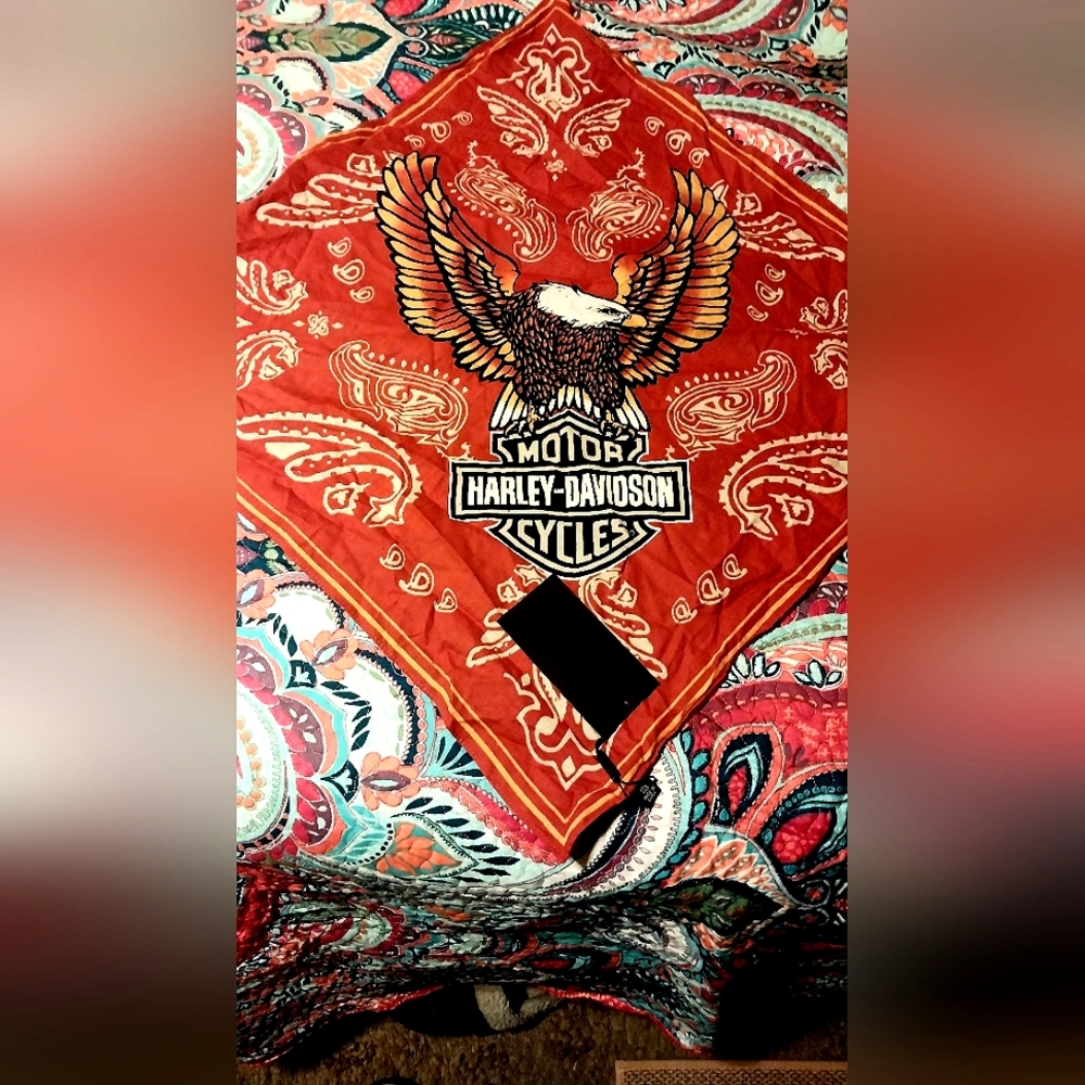 Scarf bandana